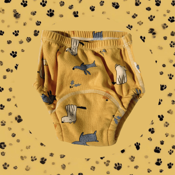 10 Pack - Potty Training Underwear