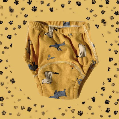 Potty Training Underwear - VARIANT