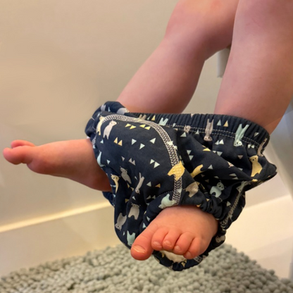 Potty Training Underwear