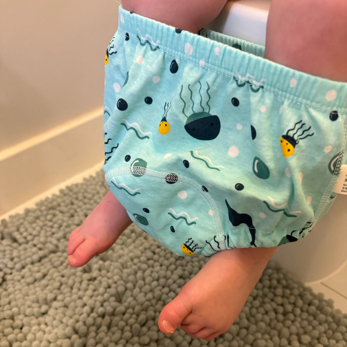 Potty Training Underwear